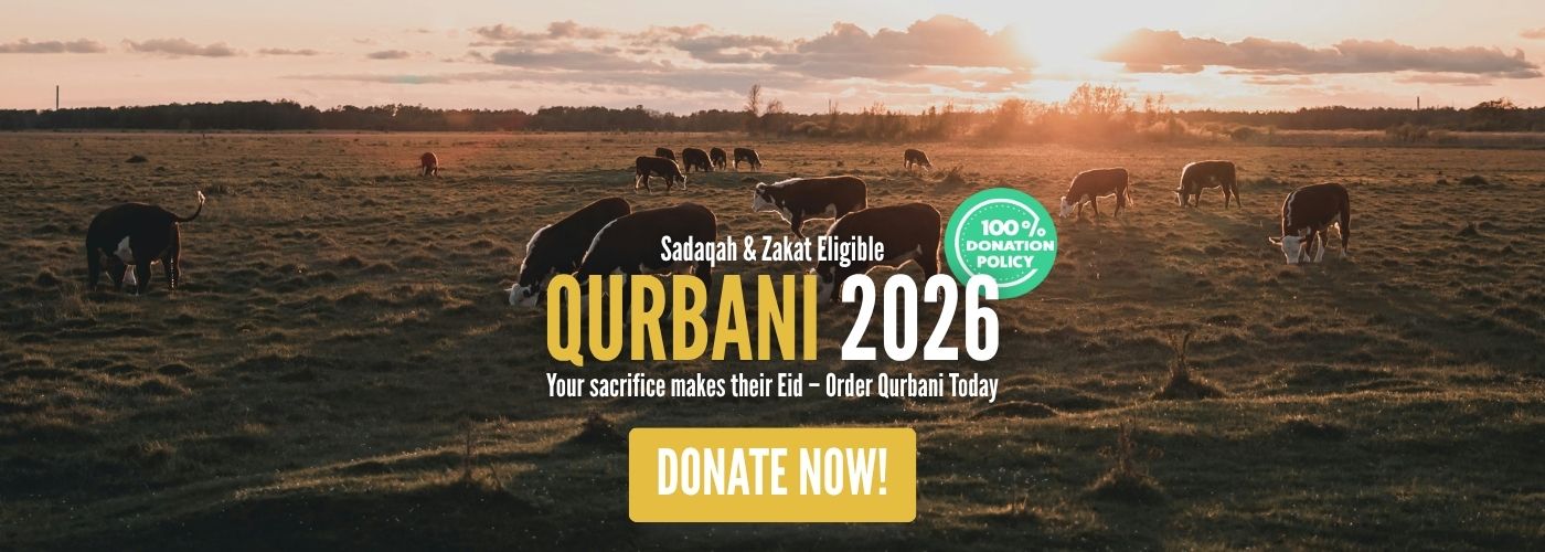 Revive Website Banners [AM]