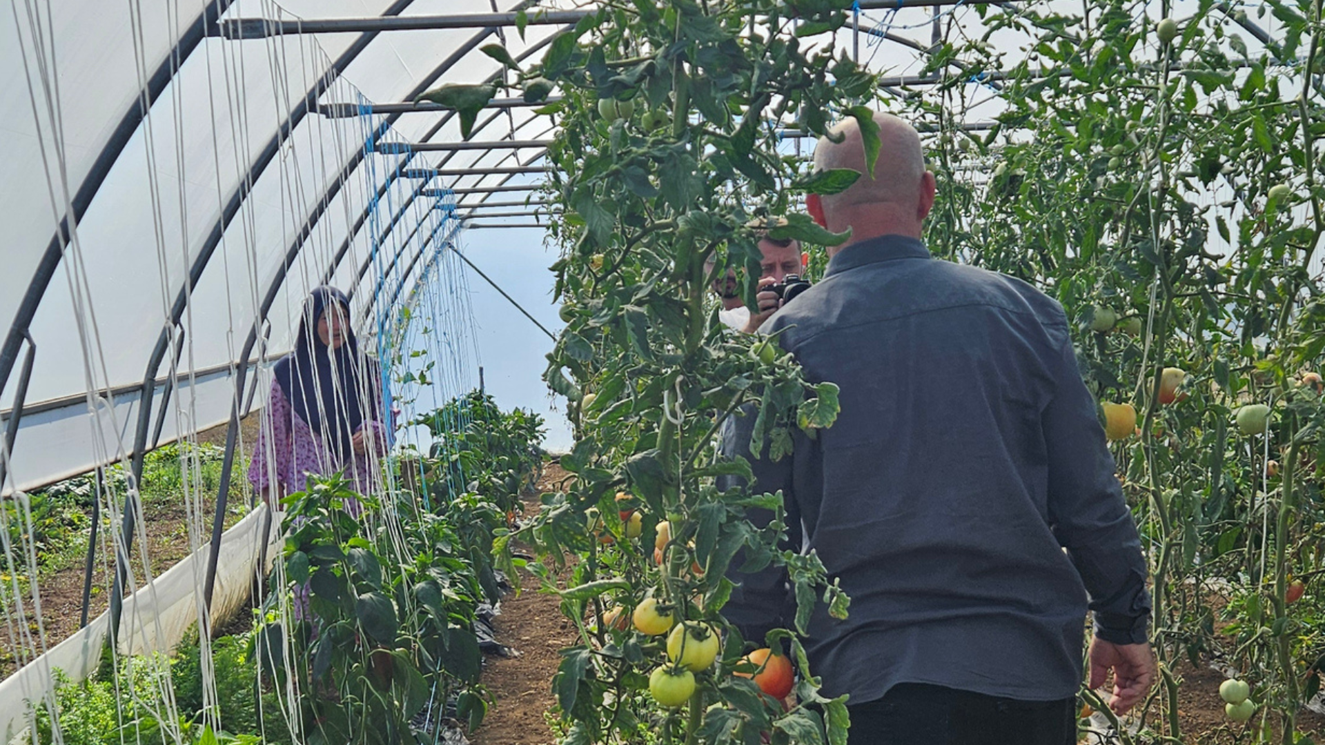 Crops growing inside an Indoor Sustainable Farm in Bosnia