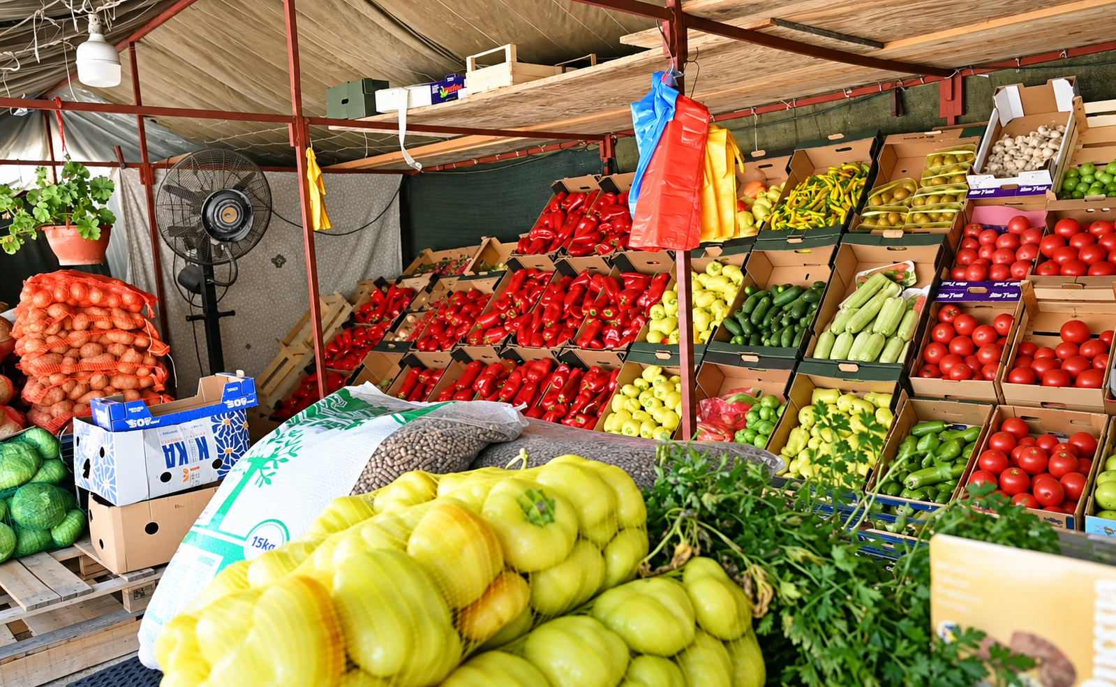A vegetable market stall stocked with fresh produce